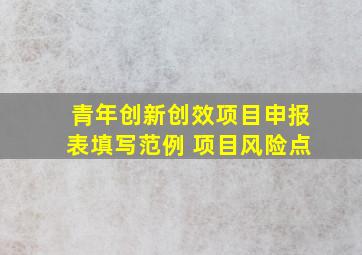 青年创新创效项目申报表填写范例 项目风险点